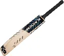 TRENDING CRICKET BAT